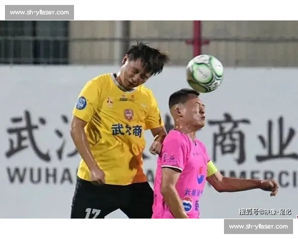 逆转夺冠！东湖高新提前锁定汉超城区组王座